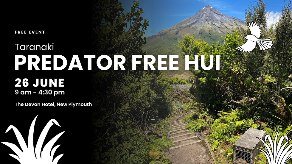 Taranaki Predator Free Hui hero image